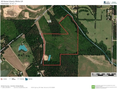 Pine Timberland for sale in Pike County MS - image 9
