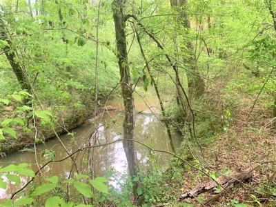 Pine Timberland for sale in Pike County MS - image 13