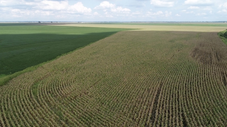Carroll County, MO Land Auction (Scherr Family) - image 18