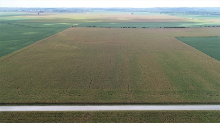 Carroll County, MO Land Auction (Scherr Family) - image 4