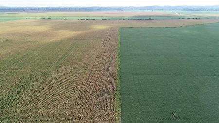 Carroll County, MO Land Auction (Scherr Family) - image 7