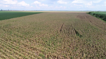 Carroll County, MO Land Auction (Scherr Family) - image 17