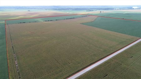 Carroll County, MO Land Auction (Scherr Family) - image 3