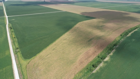 Carroll County, MO Land Auction (Scherr Family) - image 16