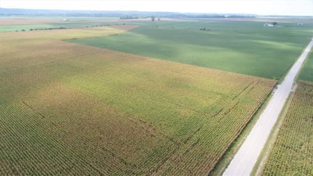 Carroll County, MO Land Auction (Scherr Family) - image 11