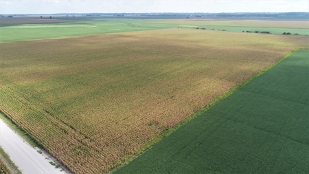 Carroll County, MO Land Auction (Scherr Family) - image 9