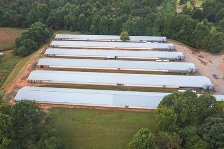 Poultry Farm for Sale in Dobson NC - image 3