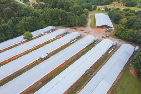 Poultry Farm for Sale in Dobson NC - image 5