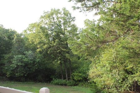 Move-in Ready Home on secluded County Road Oakland, Arkansas - image 29