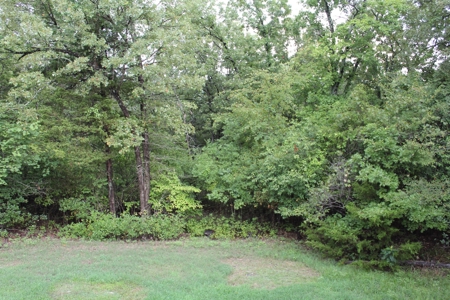 Move-in Ready Home on secluded County Road Oakland, Arkansas - image 33