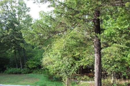 Move-in Ready Home on secluded County Road Oakland, Arkansas - image 28