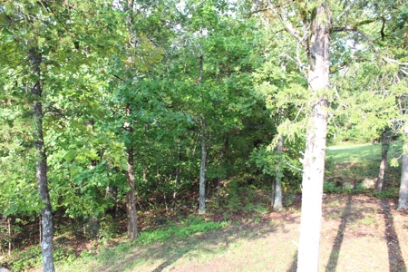 Move-in Ready Home on secluded County Road Oakland, Arkansas - image 30