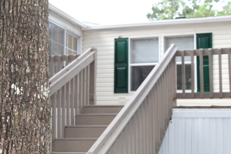 Move-in Ready Home on secluded County Road Oakland, Arkansas - image 4
