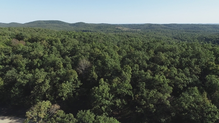 Move-in Ready Home on secluded County Road Oakland, Arkansas - image 44