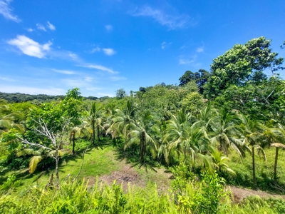 Titled Lots with Endless Development Possibility, Isla Colon - image 5