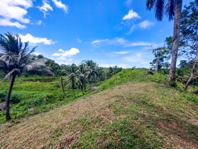Titled Lots with Endless Development Possibility, Isla Colon - image 11