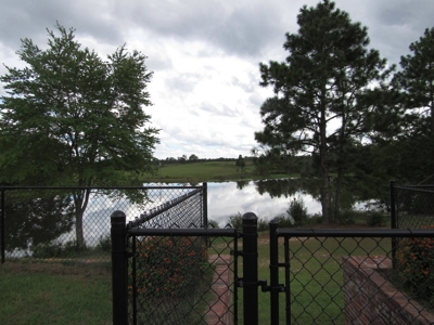 Country Home on 65 acres, pool, ponds! - image 3