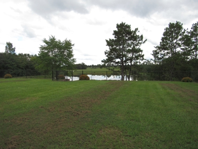 Country Home on 65 acres, pool, ponds! - image 4