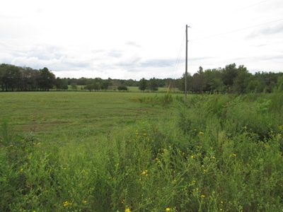 Country Home on 65 acres, pool, ponds! - image 9