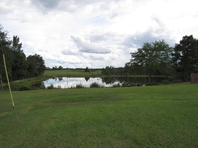 Country Home on 65 acres, pool, ponds! - image 6
