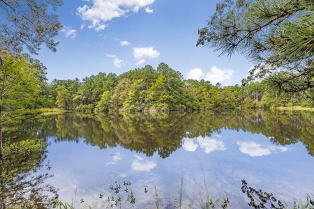 200 Acre Secluded Country Estate for Sale Hattiesburg MS - image 2