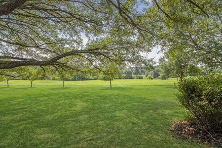 200 Acre Secluded Country Estate for Sale Hattiesburg MS - image 12
