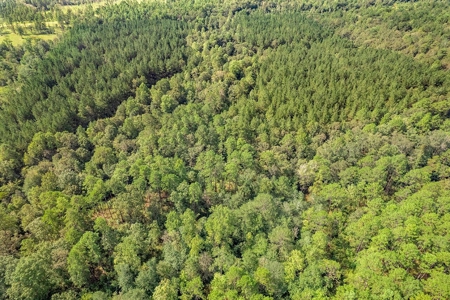 200 Acre Secluded Country Estate for Sale Hattiesburg MS - image 34