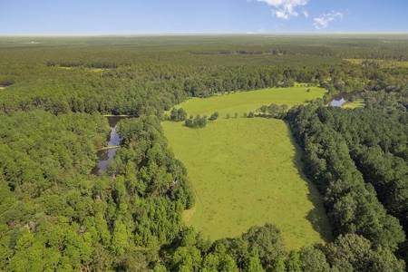 200 Acre Secluded Country Estate for Sale Hattiesburg MS - image 31