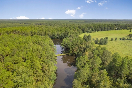 200 Acre Secluded Country Estate for Sale Hattiesburg MS - image 36