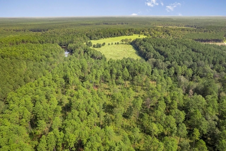200 Acre Secluded Country Estate for Sale Hattiesburg MS - image 35