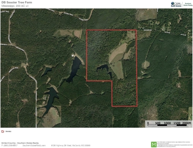 200 Acre Secluded Country Estate for Sale Hattiesburg MS - image 45