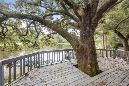 200 Acre Secluded Country Estate for Sale Hattiesburg MS - image 27