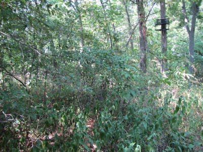 Northeast Missouri Income w/ Hunting Farm - image 29