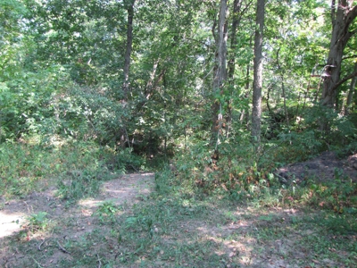 Northeast Missouri Income w/ Hunting Farm - image 28