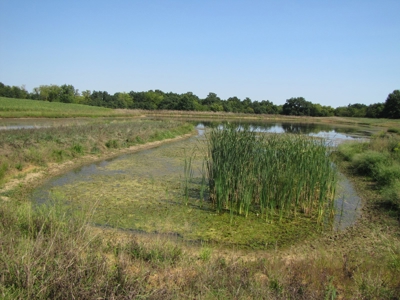 Northeast Missouri Income w/ Hunting Farm - image 24