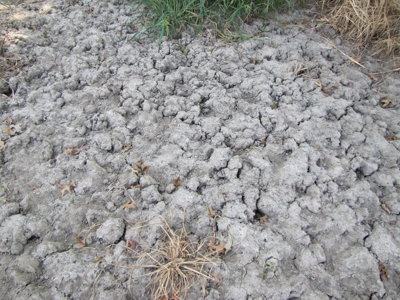 Northeast Missouri Income w/ Hunting Farm - image 30