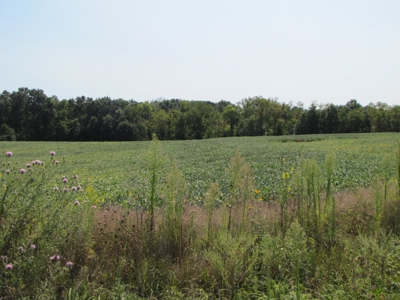 Northeast Missouri Income w/ Hunting Farm - image 32
