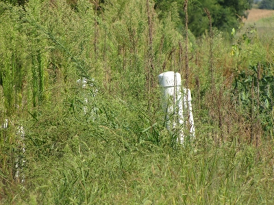 Northeast Missouri Income w/ Hunting Farm - image 37
