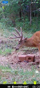 Northeast Missouri Income w/ Hunting Farm - image 3