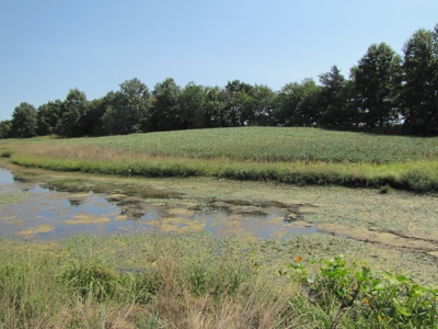 Northeast Missouri Income w/ Hunting Farm - image 23