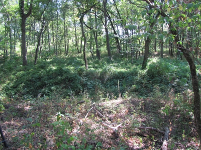Northeast Missouri Income w/ Hunting Farm - image 33