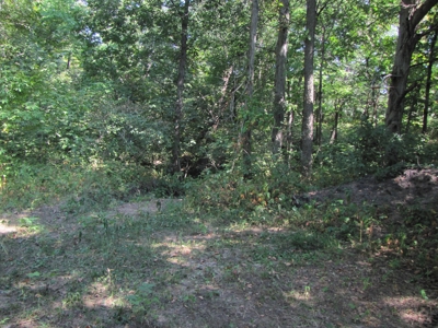 Northeast Missouri Income w/ Hunting Farm - image 27