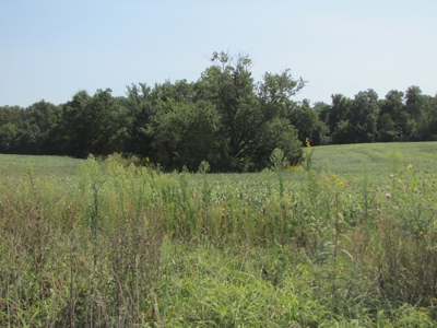 Northeast Missouri Income w/ Hunting Farm - image 31