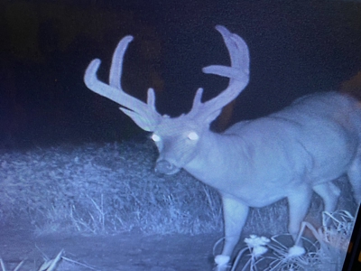 Northeast Missouri Income w/ Hunting Farm - image 6
