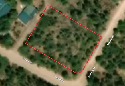 Wood Lot For Sale In Timberon New Mexico - image 1