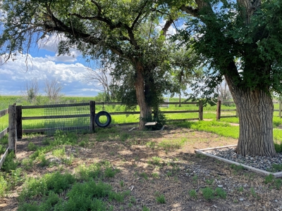 For sale country home with acreage located in central NM. - image 7