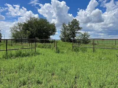 For sale country home with acreage located in central NM. - image 10