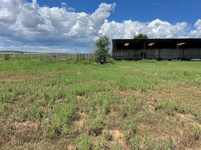 For sale country home with acreage located in central NM. - image 15