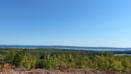 Recreational land with a view - image 15