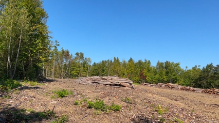 Recreational land with a view - image 13